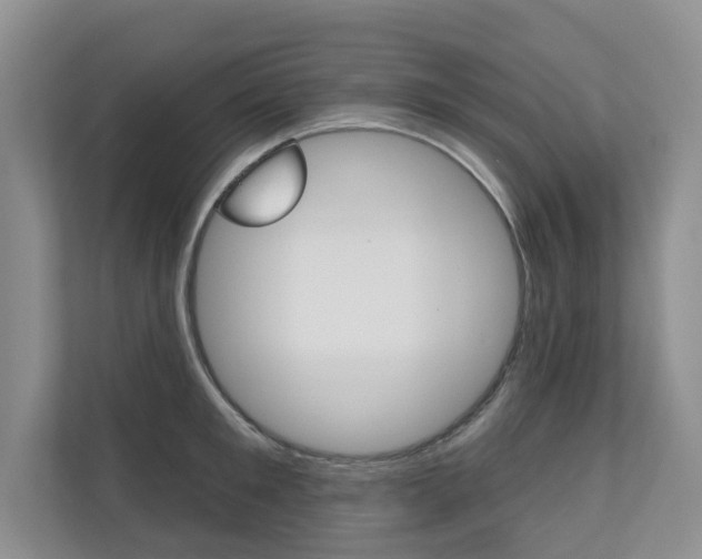 X0000110700901200906121033