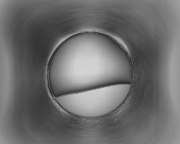 X0000110700903200906121033