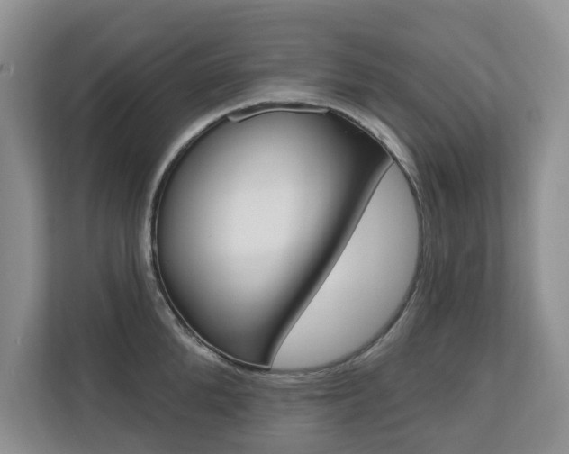 X0000110700904200906121033