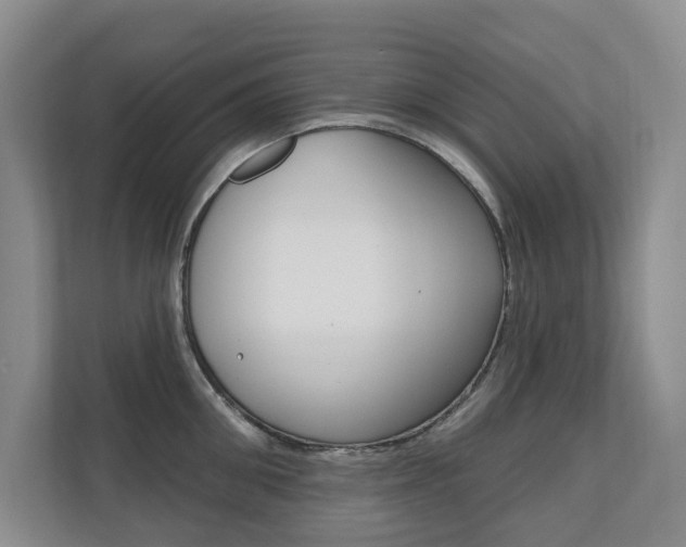 X0000110700906200906121033