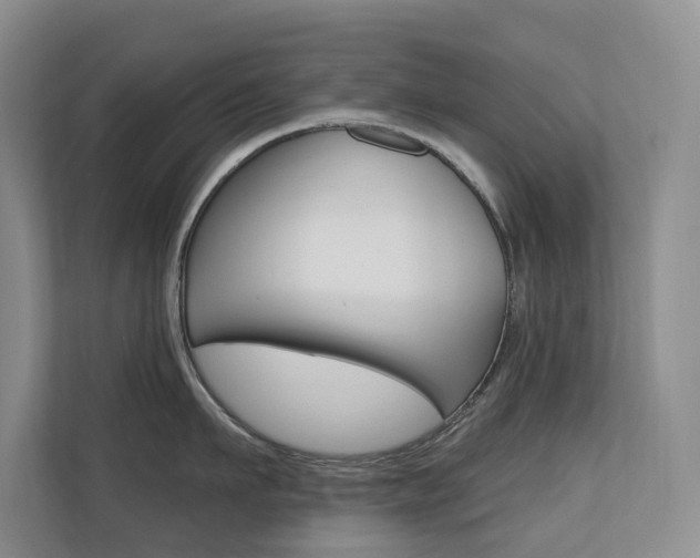 X0000110700911200906121033