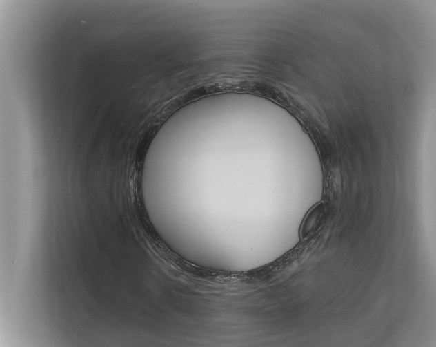 X0000110700914200906121033
