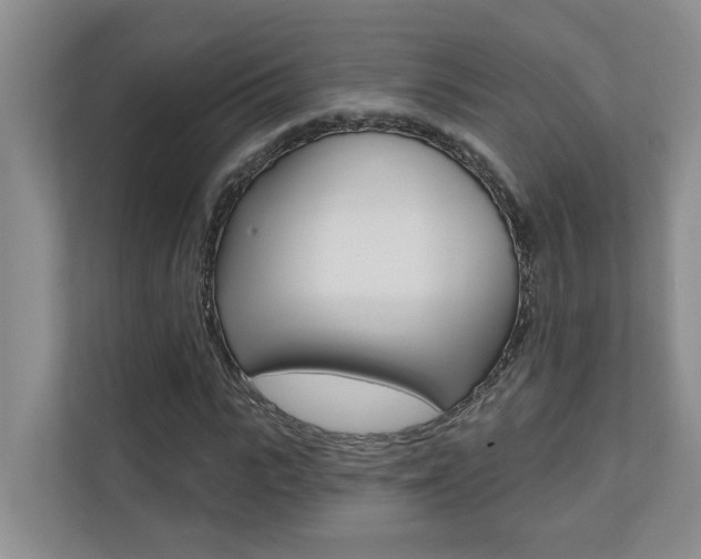 X0000110700919200906121033