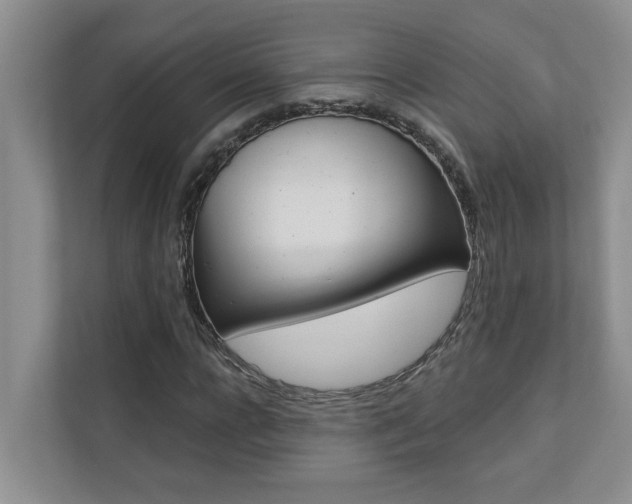 X0000110700920200906121033