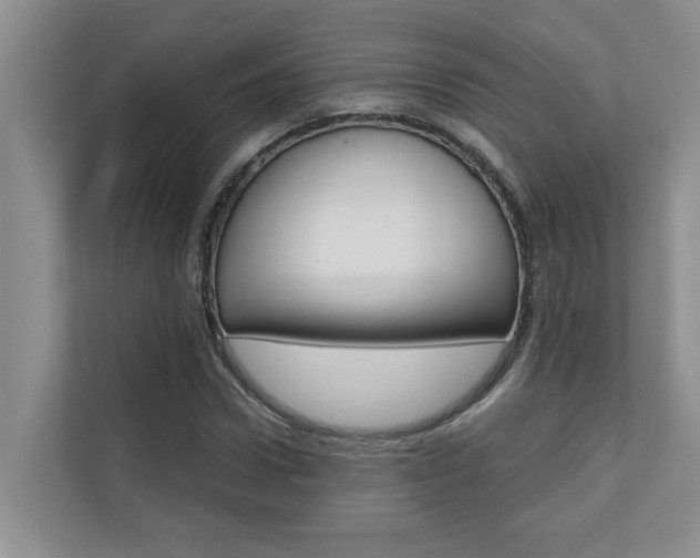 X0000110700922200906121033
