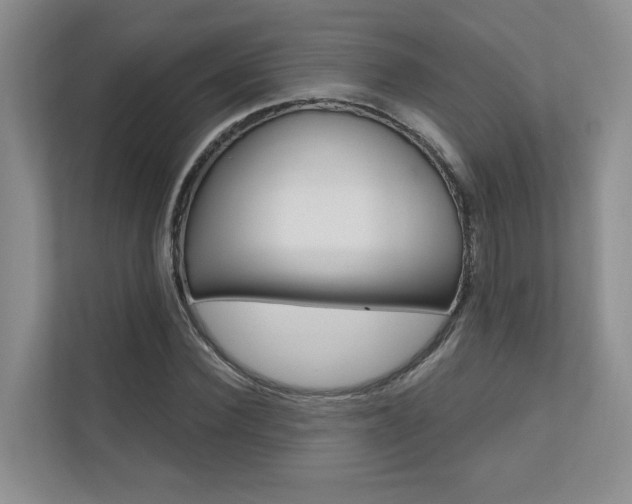 X0000110700924200906121033