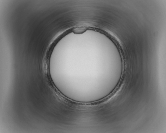 X0000110700925200906121033