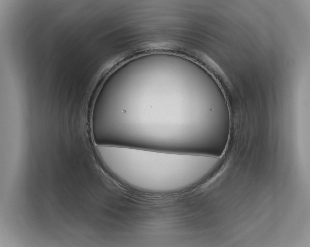 X0000110700930200906121033