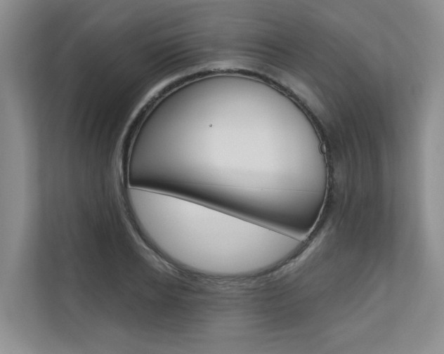 X0000110700934200906121033