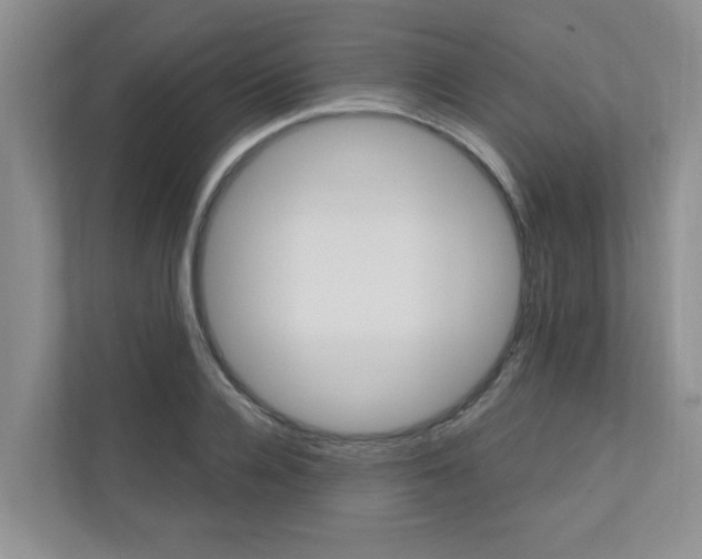 X0000110700936200906121033