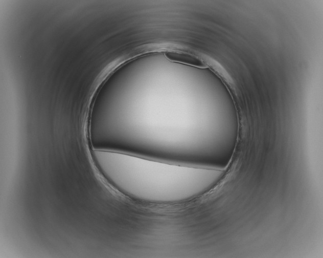 X0000110700946200906121033