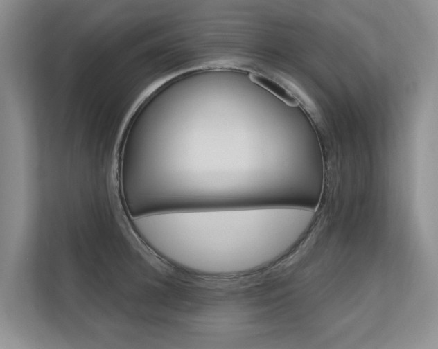 X0000110700948200906121033