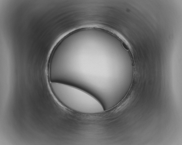 X0000110700951200906121033