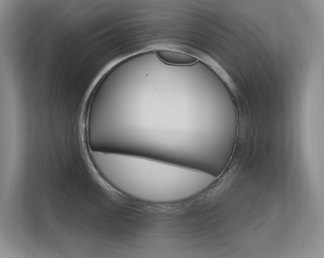 X0000110700955200906121033