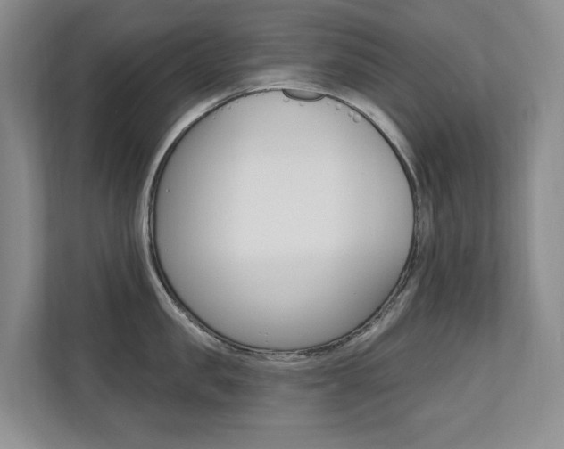 X0000110700957200906121033