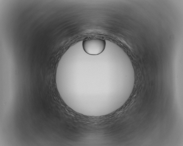 X0000110700965200906121032