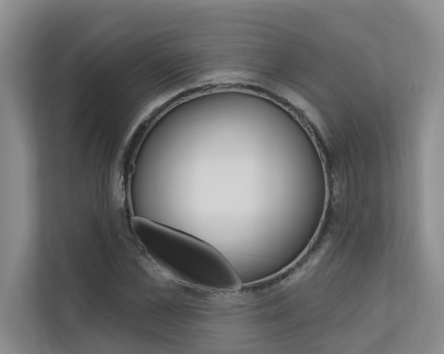 X0000110700973200906121032