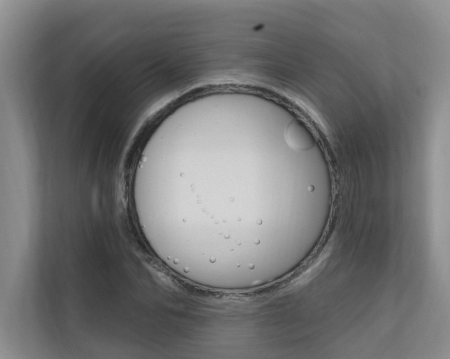 X0000110700974200906121032