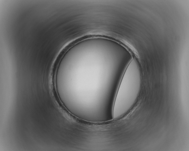 X0000110700976200906121032