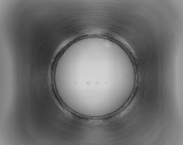 X0000110700978200906121032
