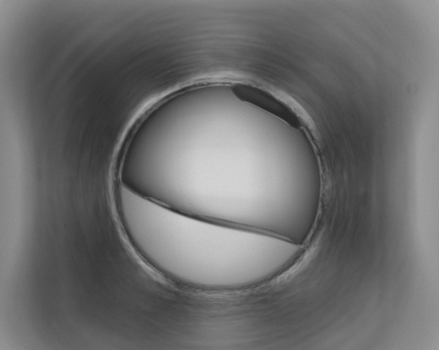 X0000110700989200906121032