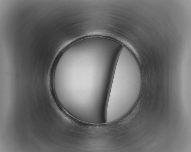 X0000110700991200906121032