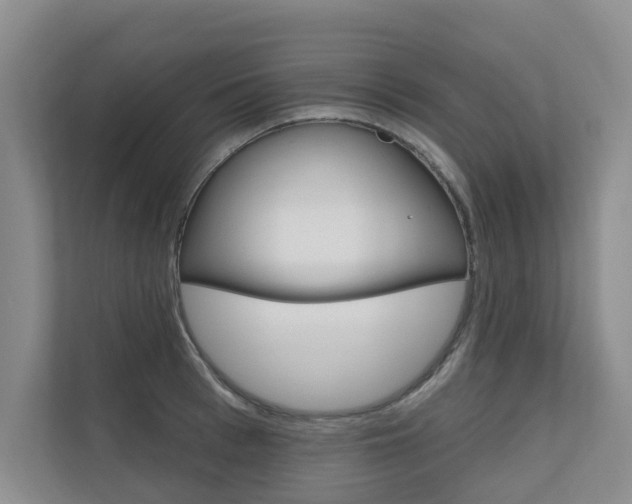X0000110700993200906121032