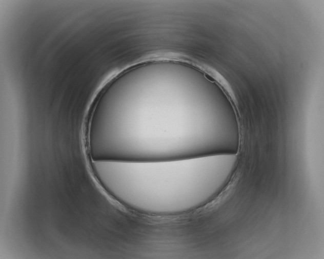 X0000110700997200906121032