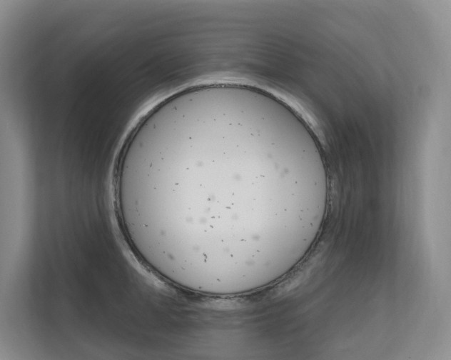 X0000110700998200906121032
