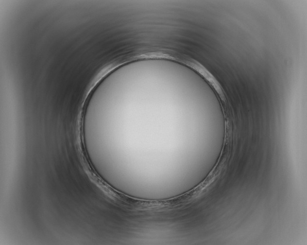 X0000110701002200906121032