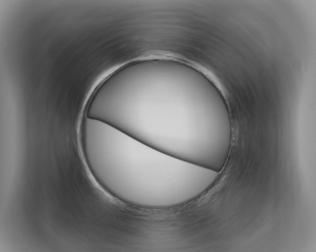 X0000110701003200906121032