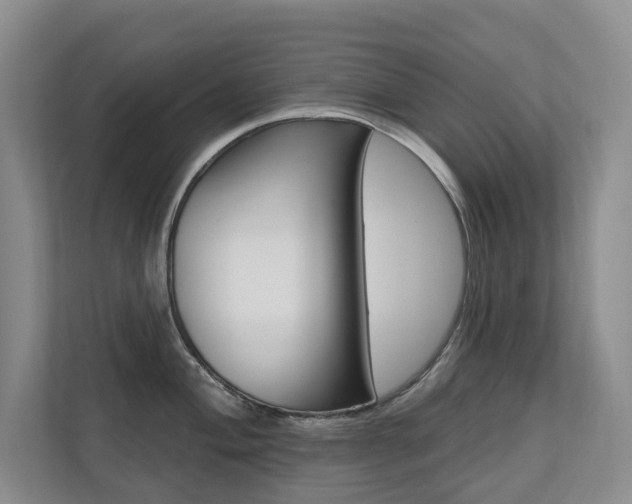 X0000110701004200906121032