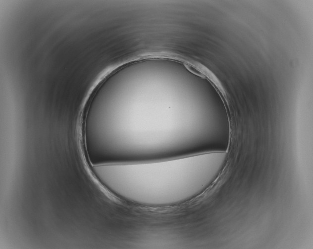 X0000110701005200906121032