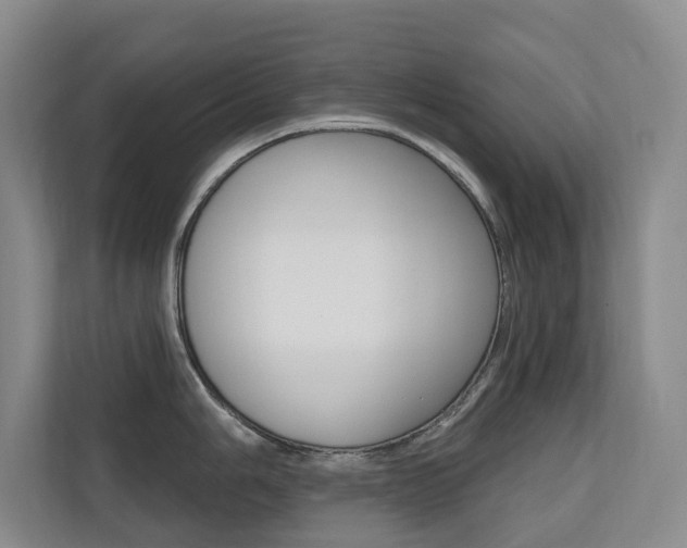 X0000110701006200906121032