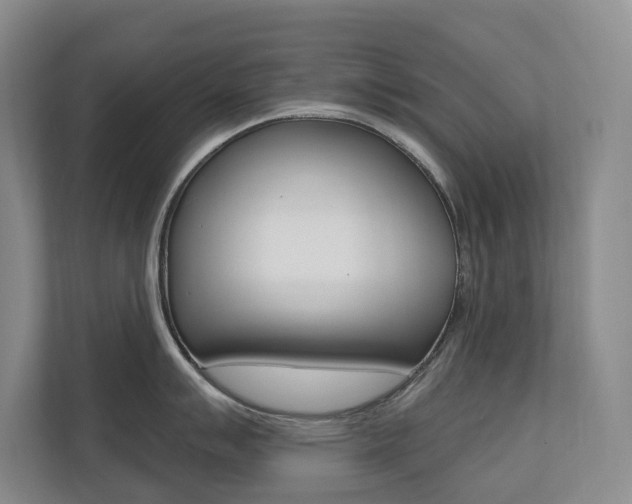 X0000110701007200906121032