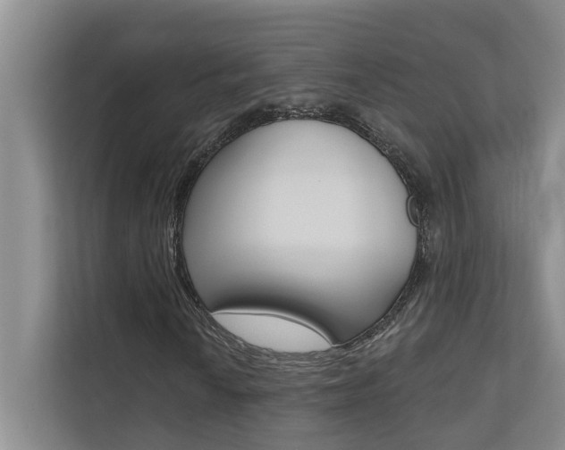 X0000110701010200906121031