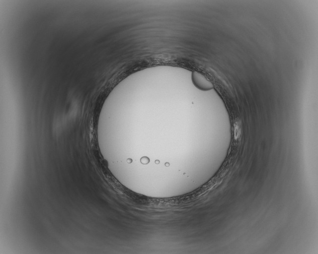 X0000110701011200906121031