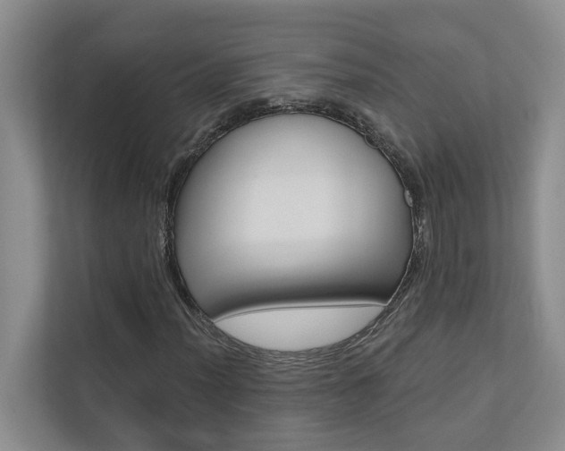 X0000110701012200906121031