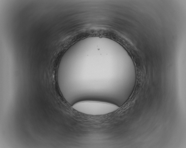X0000110701013200906121031