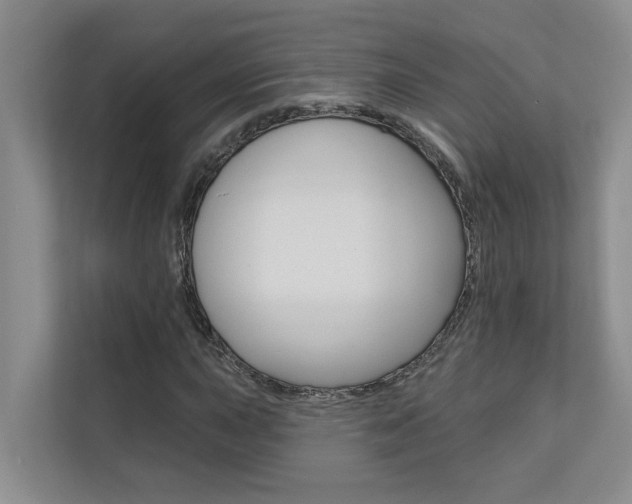 X0000110701015200906121031