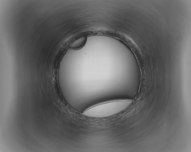 X0000110701016200906121031