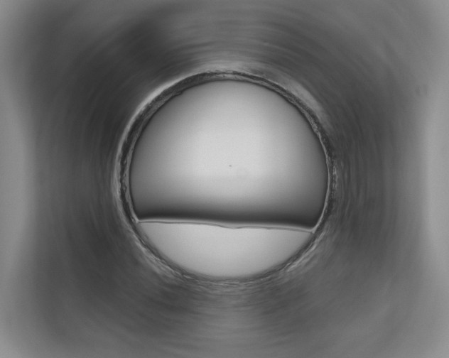 X0000110701020200906121031