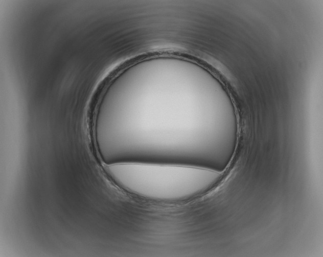 X0000110701022200906121031
