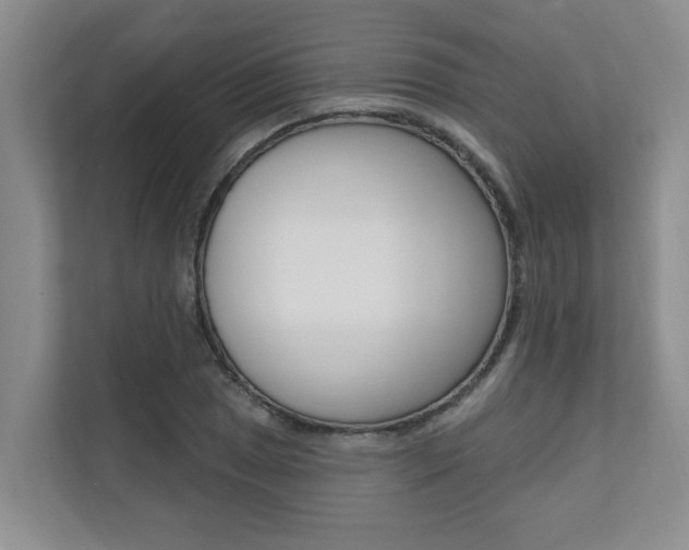 X0000110701025200906121031