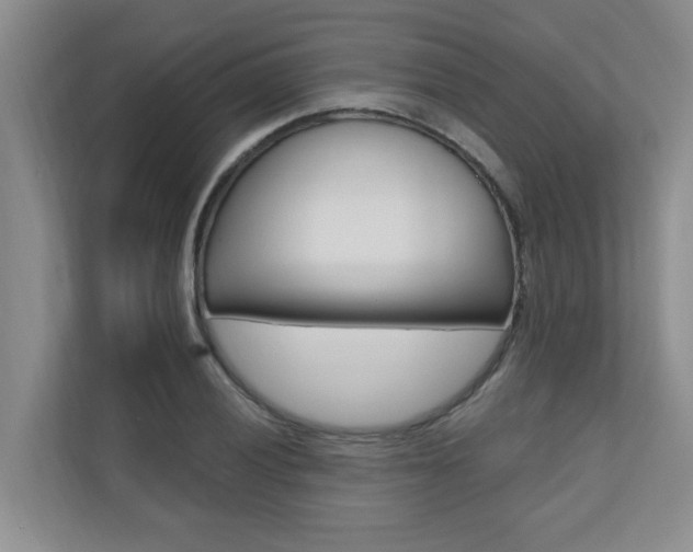 X0000110701028200906121032