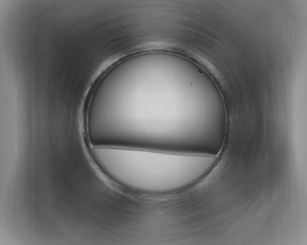 X0000110701034200906121032
