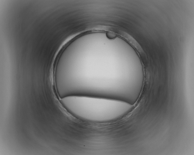 X0000110701036200906121032