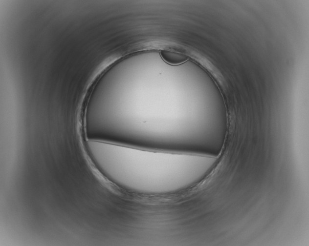 X0000110701042200906121032