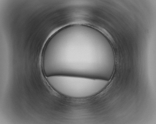 X0000110701044200906121032