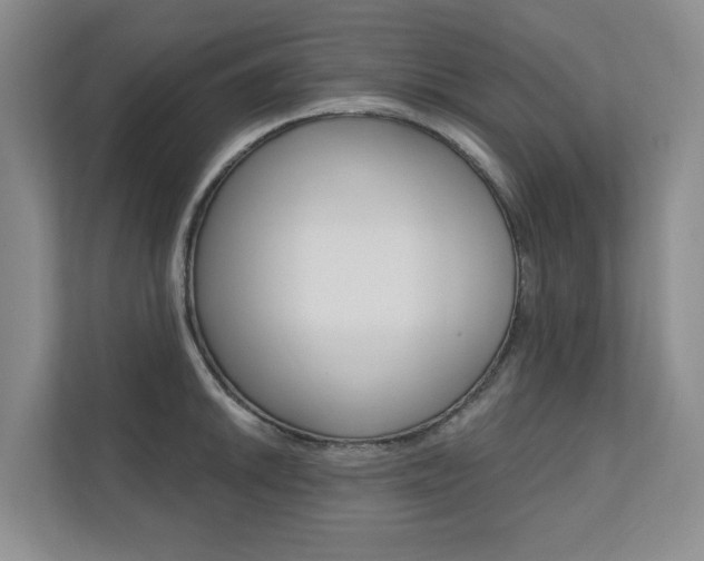 X0000110701046200906121032